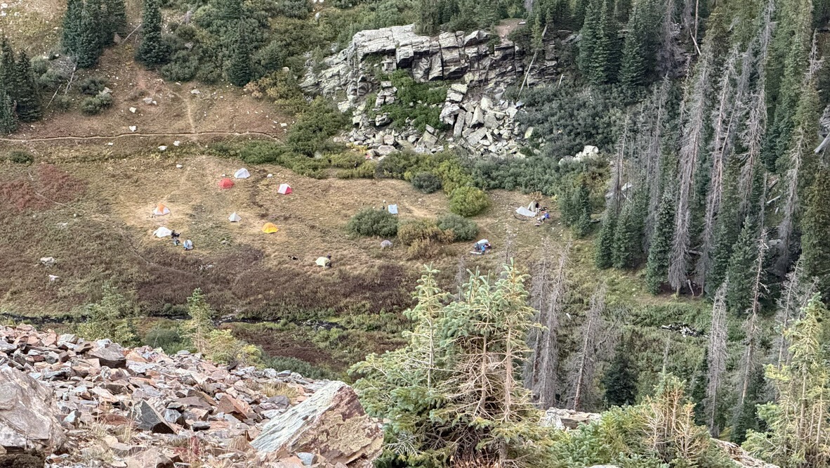 Basin full of colorful climbers