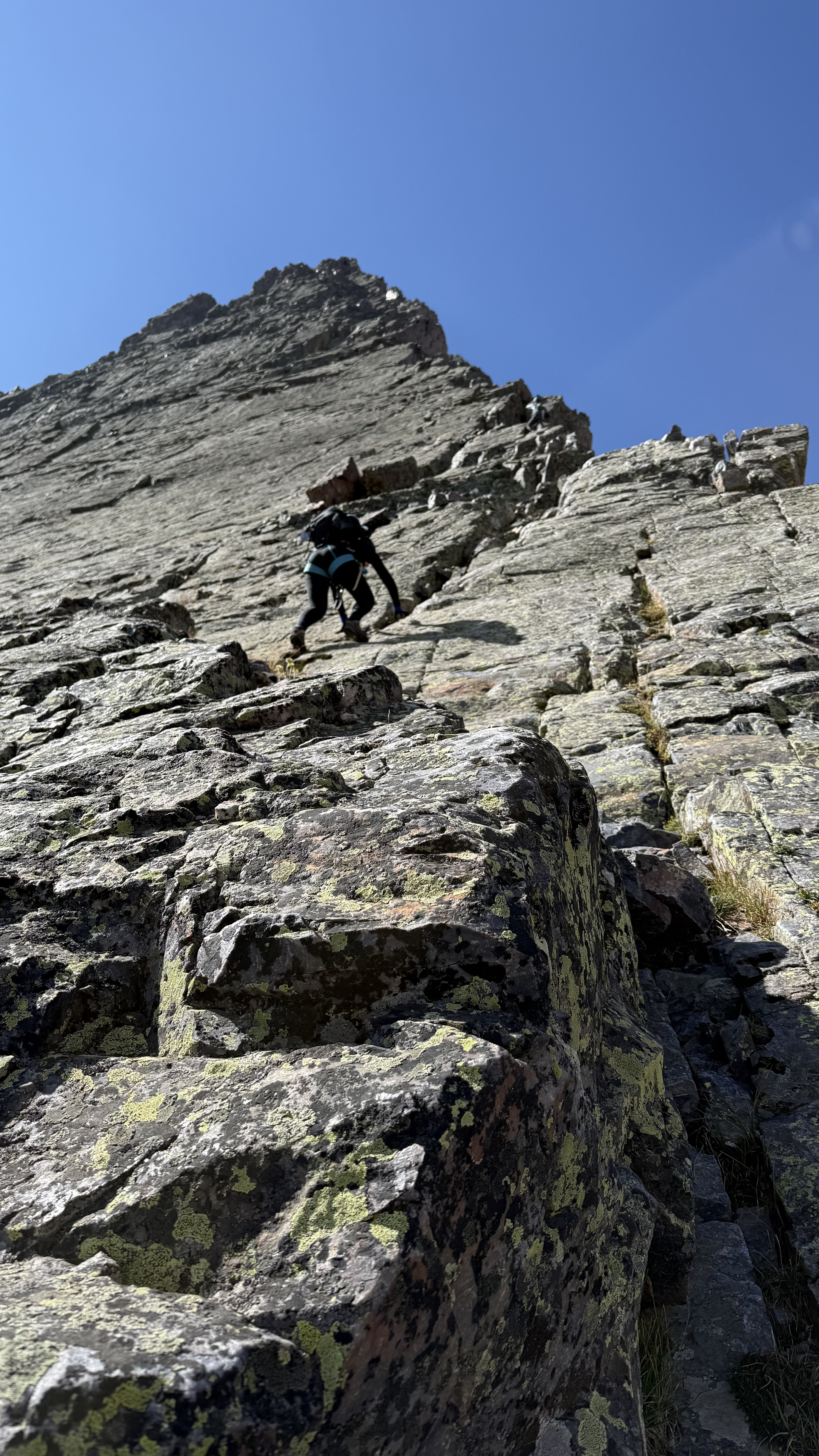 Maya climbing up the Wham Ridge